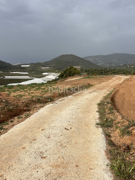 Foto fa7adf5c-b1b2-4186-9402-6be16990312f. Terreny residencial a Centro Salobreña