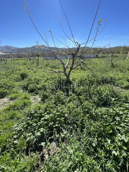 Foto af6ee527-3414-4b8c-9c83-aeb61f7721a8. Masia amb piscina a Lobres Salobreña