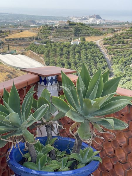 Foto f9a5ab87-5461-40ef-8a24-b72423ec8ef5. Masia amb piscina a Molvízar