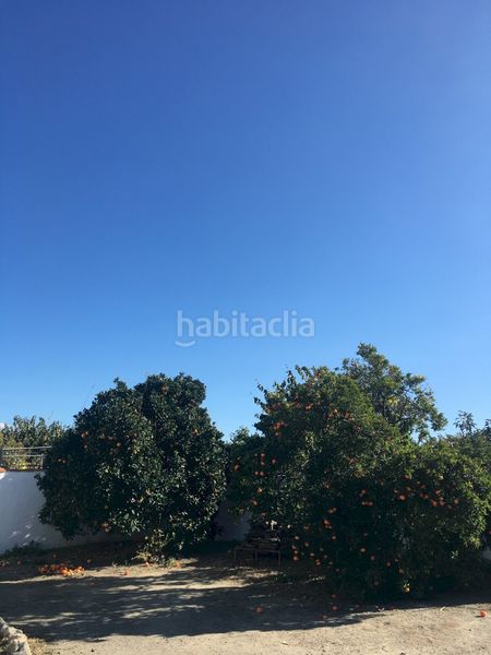 Foto ff380783-6b67-4310-a46c-7a7f87a5f043. Masia a Centro Salobreña