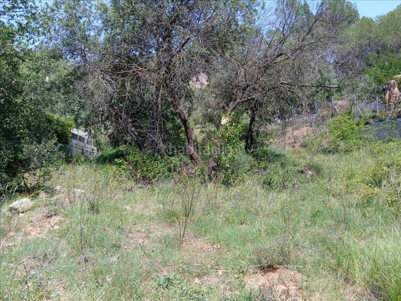 Foto 0b489627-afd6-4819-96b1-f3c9aecc653e. Finca rústica a Vacarisses