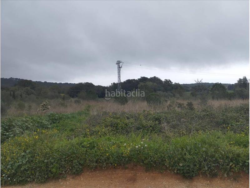 Foto 8a503bd4-1731-4dd9-a176-36a153deed14. Wohngrundstück in Piverd-Vila-Seca-Bruguerol Palafrugell