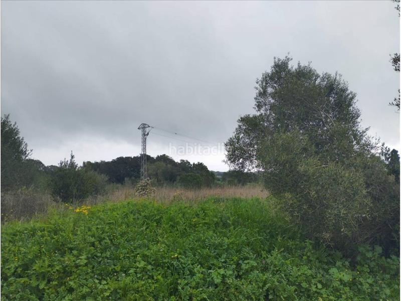 Foto f3573bb5-ad53-44aa-82c4-f4fc1a288a31. Wohngrundstück in Piverd-Vila-Seca-Bruguerol Palafrugell