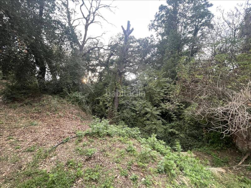 Foto 0dba6689-34e4-4cbb-ab5e-b4549763b0d2. Finca rústica a avinguda del puigdomí 40 a Caldes de Montbui