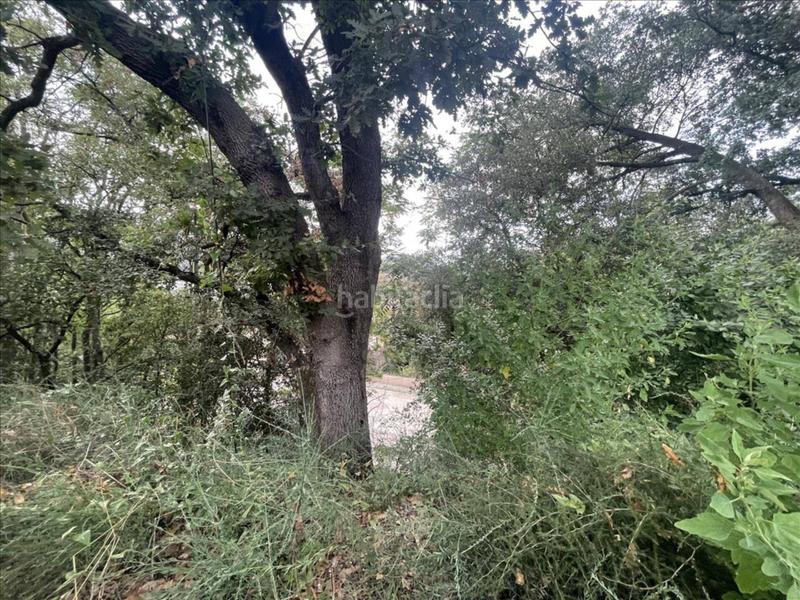 Foto 50fcf8bf-2606-4d3b-8313-1d07119dd9d5. Finca rústica a avinguda del puigdomí 40 a Caldes de Montbui