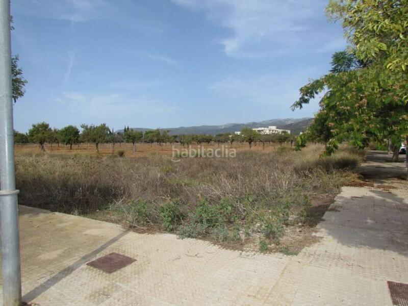 Foto 40552fd6-bb0b-4ebb-81a7-83c1249a6237. Finca rústica terreno en Binissalem