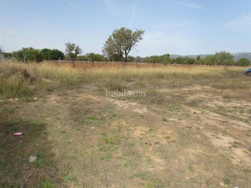 Foto 8c383fd7-70ab-4985-866e-c4a963684fb1. Finca rústica terreno en Binissalem