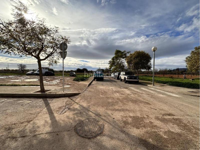 Foto 9665d4cc-9e4b-4e8f-9279-402484fc23dc. Finca rústica terreno en Binissalem