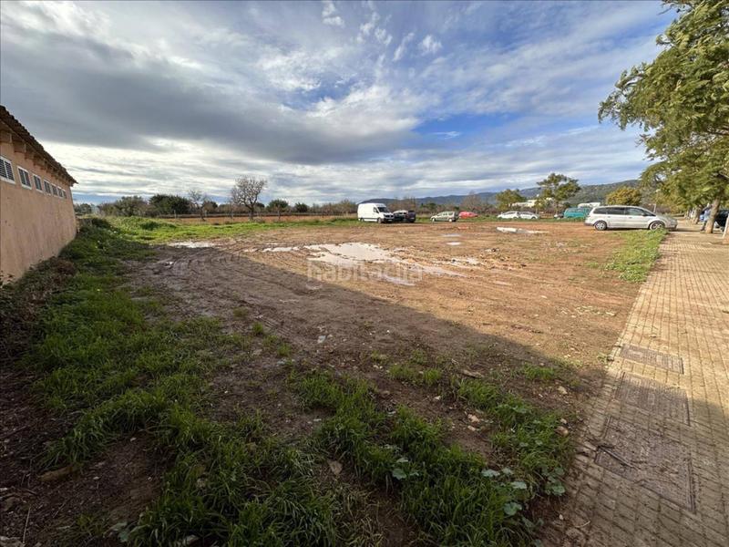 Foto cdbed289-3359-4bc0-ae6e-43683064690c. Finca rústica terreno en Binissalem