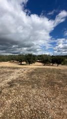 Finca r�stica en Sant Mateu. Gran terreno r�stico disponible