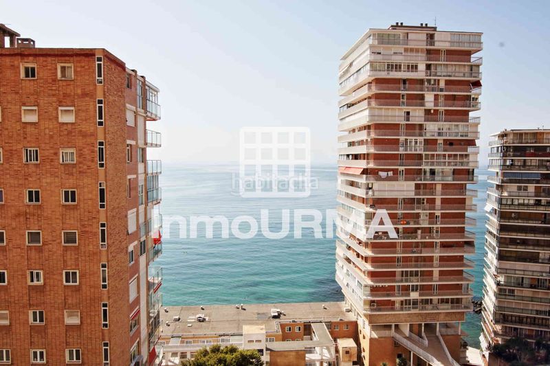 Foto 353cf187-8db0-4226-9427-7f9b90318025. Pis a Albufereta Alicante