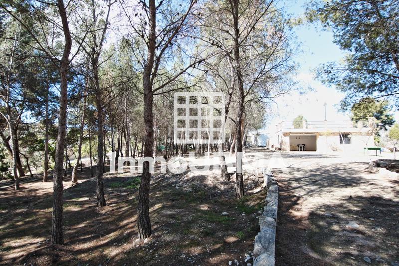Foto 508420ef-5ccd-4171-b738-9e1acb62c620. Xalet amb xemeneia aparcament a Monòver