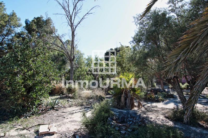 Foto 2193eef9-ae3d-4ed6-b27a-bf06b2efdcf0. Chalet dans Campo Alto-Club de Campo Elda