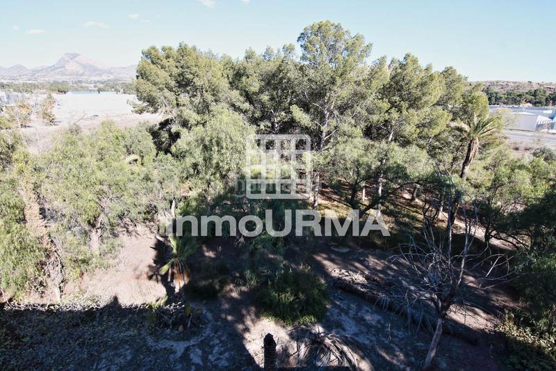 Foto fdc42ad3-c23b-4785-9401-a4db529697d4. Chalet dans Campo Alto-Club de Campo Elda