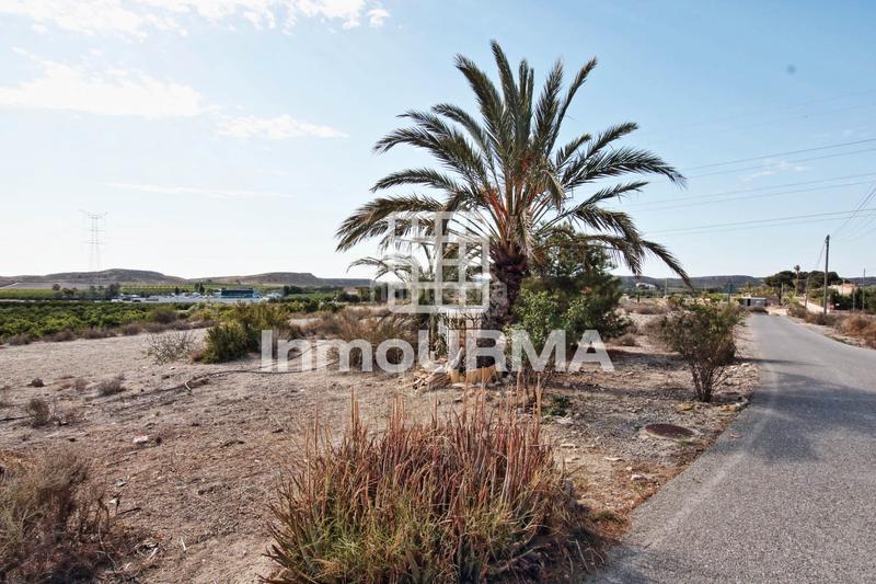 Foto 3fee9cc8-1700-4735-bfa3-792ee6924e2e. Casa a diseminado bacarot 23a a El Bacarot Alicante