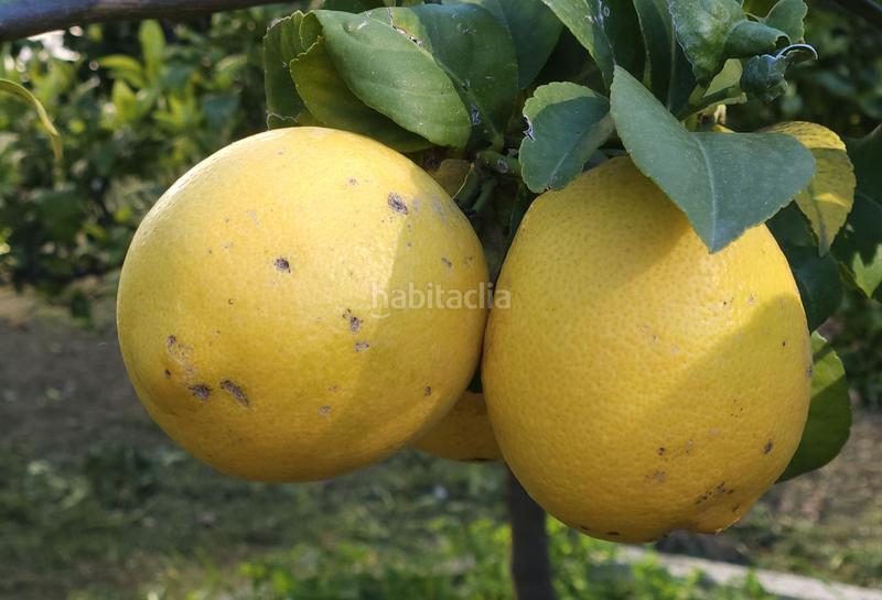 Foto 14d006fd-d28e-4b6f-967c-37453553398b. Haus mit heizung parking in Corbera de Llobregat