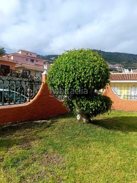 Foto 3dbf738a-f9b7-4fc9-819e-e25addffd7c8. Lloguer pis a calle araucaria a Icod de los Vinos pueblo Icod de los Vinos