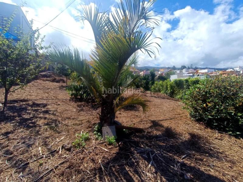 Foto 3b6d40cf-59ee-4814-84d7-4e675a63eaa4. Rent house in tf21 in Centro Orotava (La)