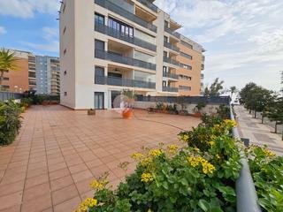 Pis  Ferrandis salvador s/n. Avenida ferrandis salvador 240 metros de terraza Pis  Ferrandis salvador s/n. Avenida ferrandis salvador 240 metros de terraza