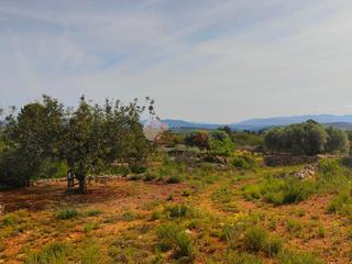 Finca rústica a Mas de borras. Terreno villanueva de alcolea