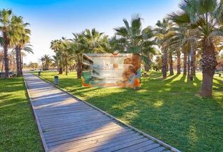 Pis a HARLEY DAVIDSON