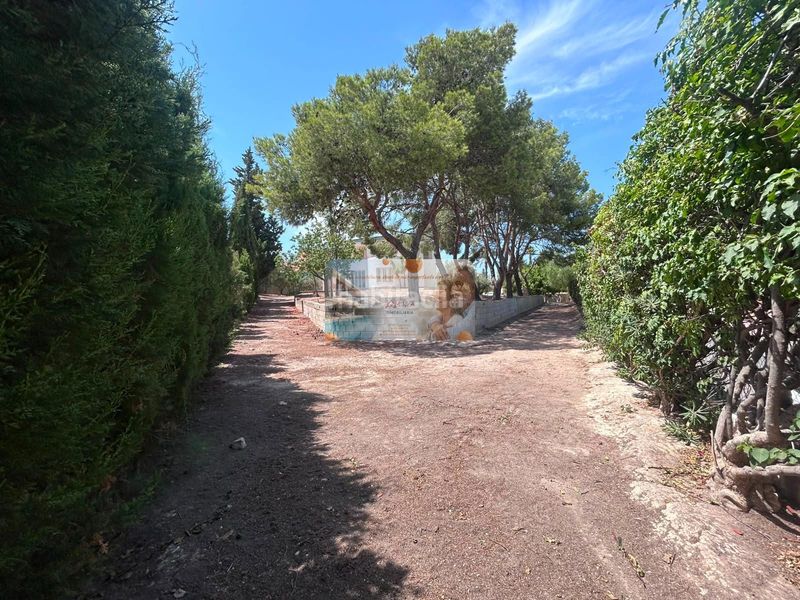 Foto e03da867-3bcb-46c5-801e-9509eb4e5c72. Xalet amb calefacció aparcament a La Huerta Mutxamel
