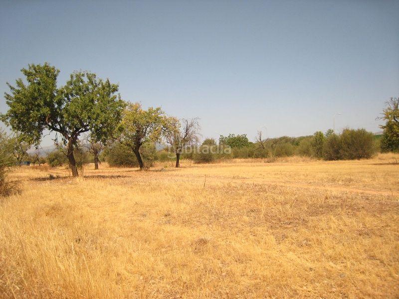 Foto 56f68208-a425-49f5-904c-fd8a98511a6d. Terreny residencial a Sa Cabana - Can Carbonell - Ses Cases Noves Marratxí