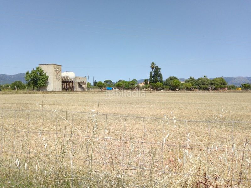 Foto ce342c23-fd5e-4022-bd59-592e8941a94c. Finca rústica a Son Sardina Palma de Mallorca