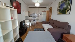 Lloguer Apartament a La Pantoja. Apartamento en alquiler en avd victor gallego, 1 dormitorio, bañ