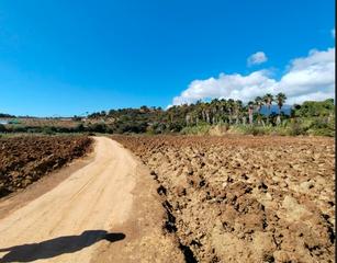 Finca rústica  Camino nicola. Parcela urbana en venta cerca de estepona