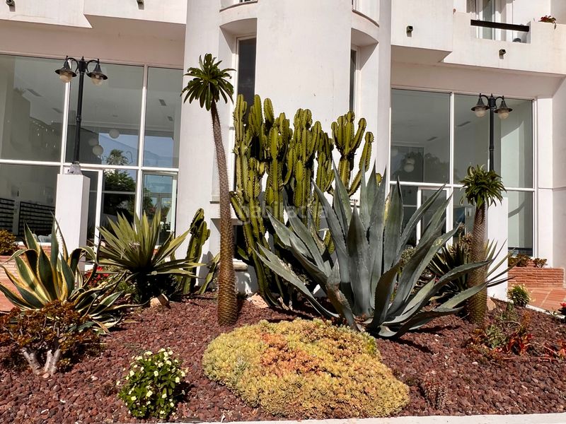 Foto d507cdb0-4c06-41da-8f33-4e6c91eede72. Apartament amb aparcament piscina a Bel - Air Estepona