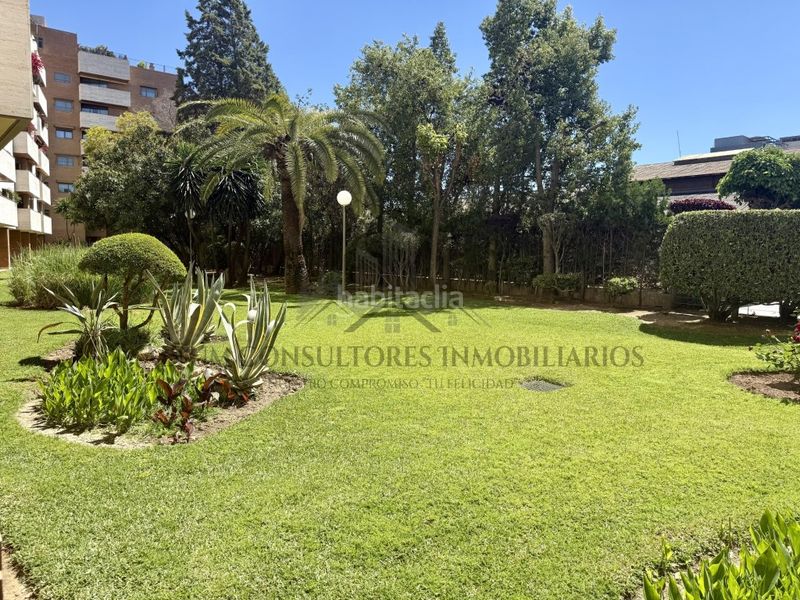 Foto 97609a52-7a62-4fa4-ac80-7bbbb6a48250. Piso urbanizacion de lujo y un piso impresionante. venga a visitarlo en Sevilla