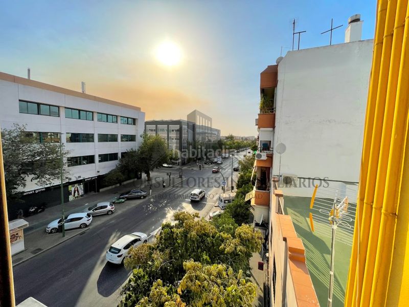 Foto b2ecc45f-bfe8-4d2a-8002-d5ce3f0179bf. Pis a El Cerro Sevilla
