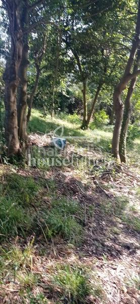 Foto 800da4ca-bc87-40a9-b323-02604538a37a. Mas avec parking dans Área Rural Ferrol