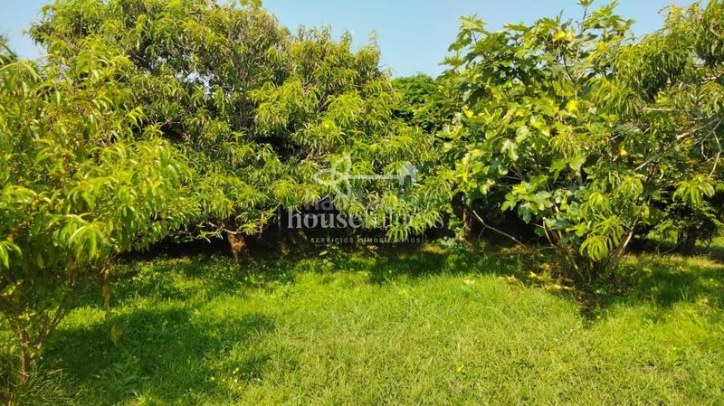 Foto 9dc09db9-90db-4d9a-a0c2-ef2a037ea01c. Chalet en Área Rural Ferrol