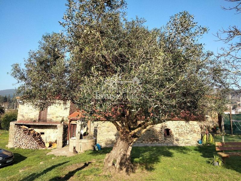 Foto 46bed458-4fd1-4332-8b80-85d2898355b7. Masia amb calefacció a A Malata - Catabois - Ciudad Jardín Ferrol