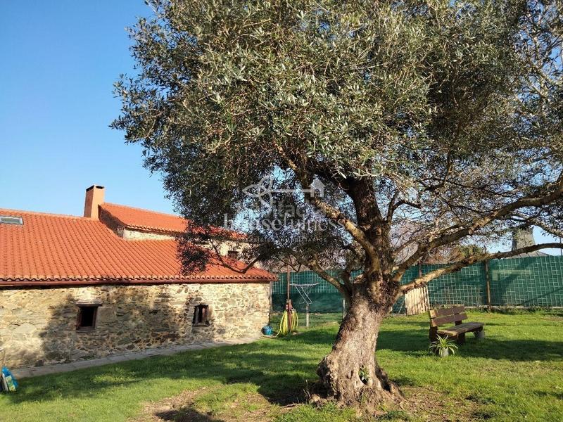 Foto 8a5e48d5-ecf8-48c8-a687-fe47393f1933. Masia amb calefacció a A Malata - Catabois - Ciudad Jardín Ferrol