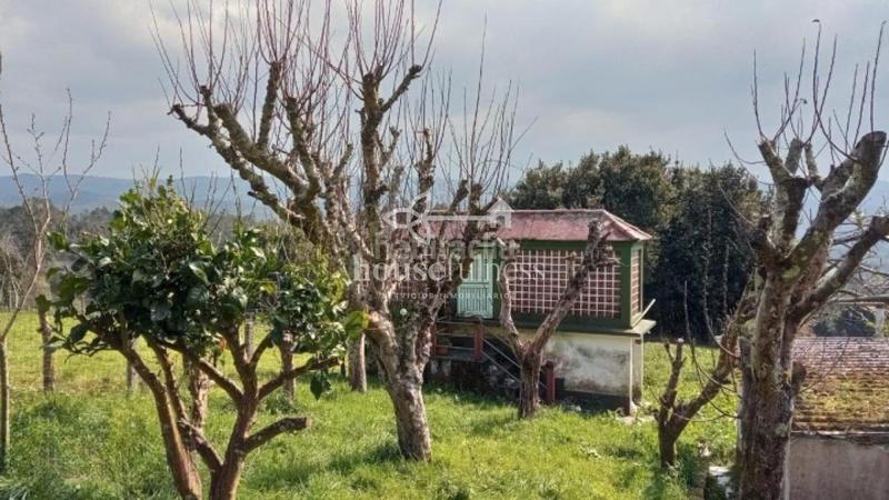 Foto 7ade7c8b-191b-40dc-80d4-fa56f993fb1b. Casa con riscaldamento parcheggio in Moeche