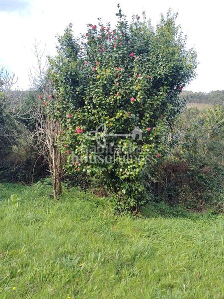 Foto 248a0ab8-a9c5-4e7d-abfa-8101236d1a59. Xalet amb calefacció aparcament a Valdoviño