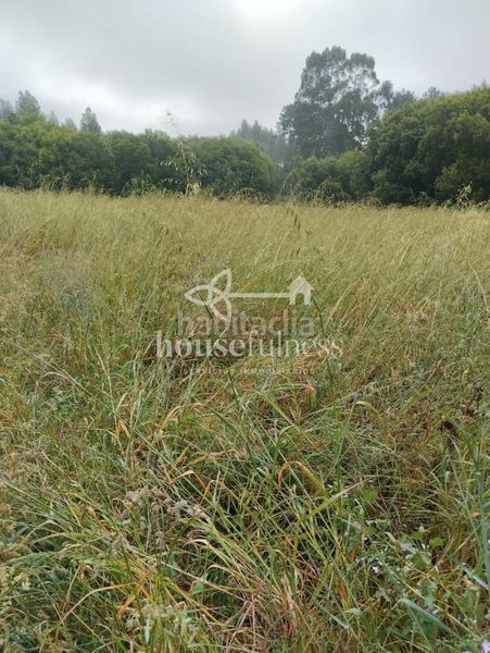 Foto c42a7c70-2602-4465-bf73-d80cc0a54c0f. Propriété dans Bergondo