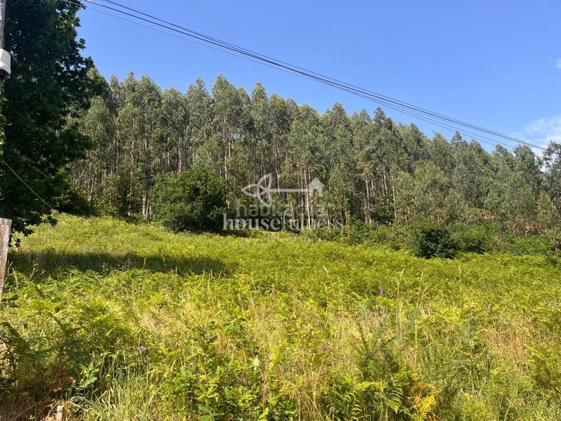 Foto f1c3dd30-e684-455d-a4f9-78c03b3915bd. Terreny residencial a Sedes - Pedroso - Doso Narón