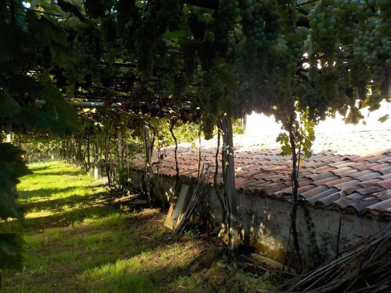 Foto 8ab1b73a-b541-4871-83a0-d033dba56ddb. Casa amb calefacció aparcament a Piñeiros - Freixeiro Narón