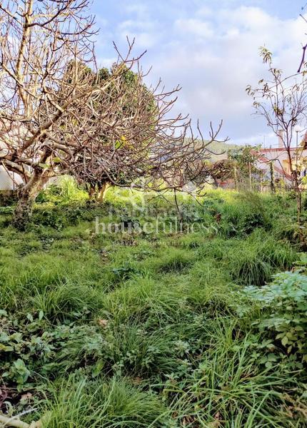 Foto 937ff9f1-310a-4ccd-867f-b35147039580. Masia amb calefacció a Neda