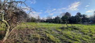 Terreno residenziale  Torre