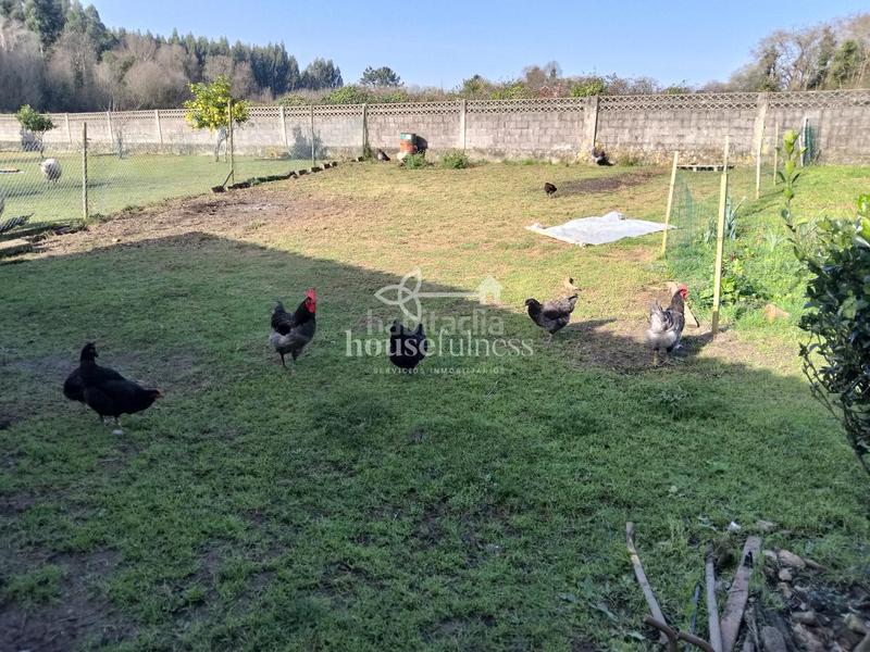 Foto 3fbc6675-4850-4de7-93cd-2107120703af. Bauernhof mit heizung parking in San Mateo - Castro - O Val Narón