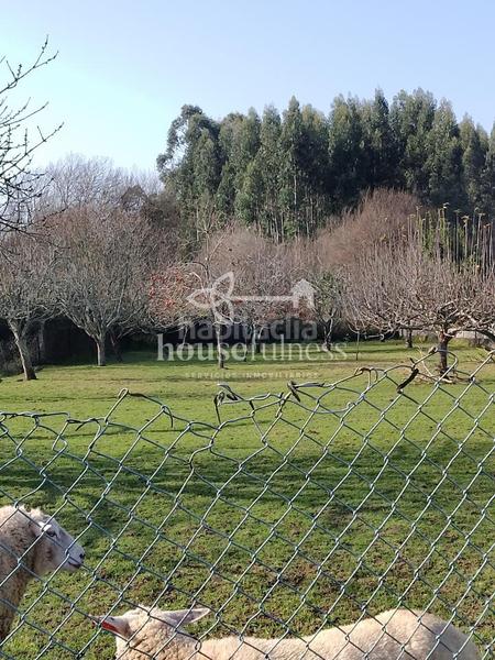 Foto 3d06c8a4-bb97-4c1b-b2bf-7c07543581c6. Country house with heating parking in San Mateo - Castro - O Val Narón