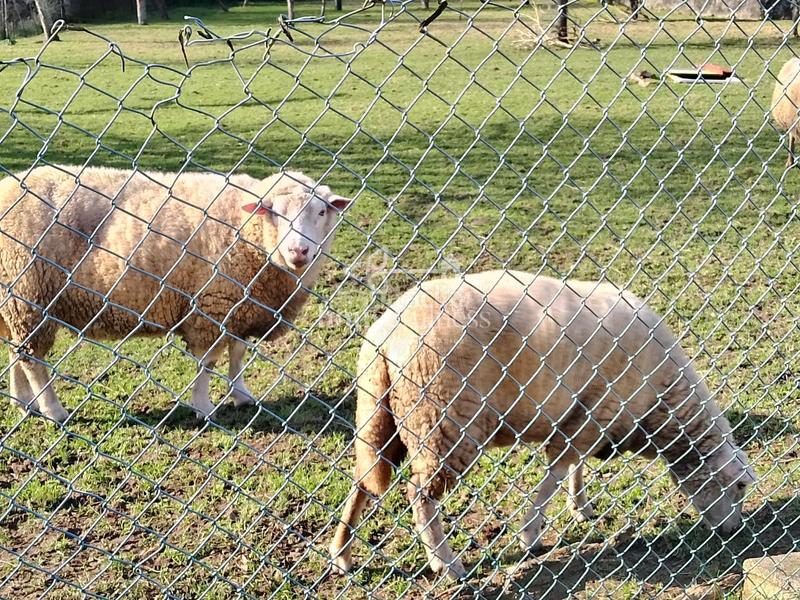 Foto 7a32d32b-2001-4787-803a-f9be6ceb54c2. Country house with heating parking in San Mateo - Castro - O Val Narón