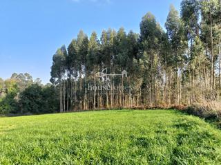 Terreno residenziale in Miño