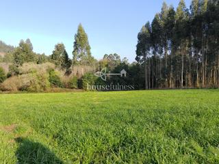 Residential Plot in Miño