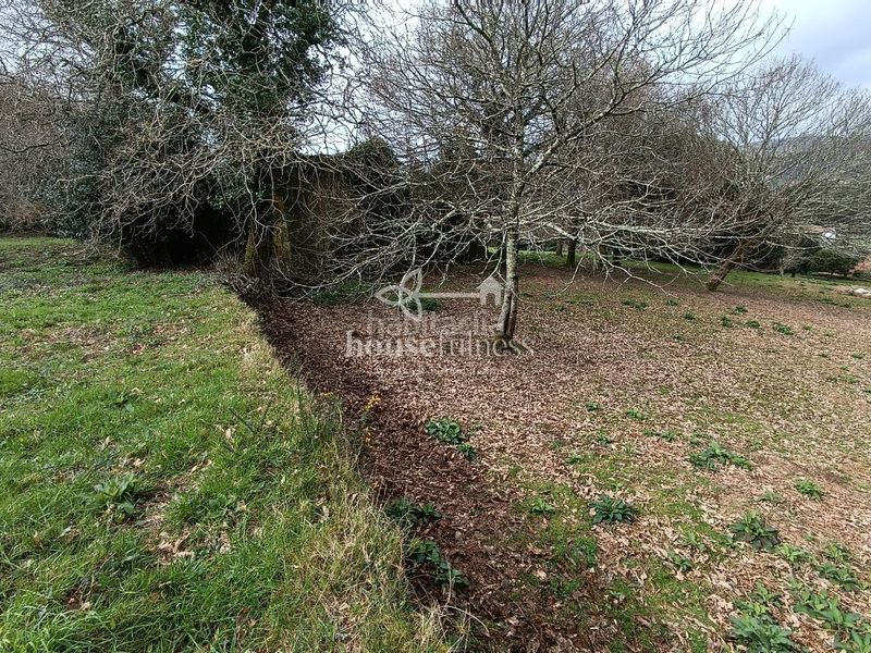 Foto fb3ad53f-7d6b-4fa6-8cf9-998b3c08e878. Terreny residencial a Parroquias de Santiago Santiago de Compostela